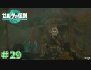 その帽子は怖いって　「ゼルダの伝説～ティアーズ・オブ・ザ・キングダム」　＃29