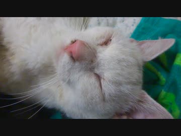 共に生きた9年、繋がれた手の記憶