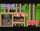 【夫婦で】幻想水滸伝さっくりプレイ#30【実況】