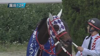 第13回園田ＦＣスプリント 勝利騎手インタビュー