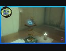 【ゼルダの伝説 ティアーズ オブ ザ キングダム】空と地底と大地と呪われし右腕。 #26【実況】