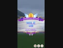 【ウマ娘】チャンピオンミーティングMILE グレードリーグ 決勝A［2023/06/19］