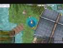 【RO】うちのグループの街中のプロさんRTA　VALI鯖　ういさんの相方動画