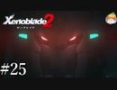 【実況】因果律予測｢ゼノブレイド2｣#25