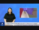 実験でmRNAは哺乳類の消化管から吸収されると証明