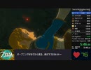 【ゼルダ ティアーズ オブ ザ キングダム】バグ無アミーボ無any%RTA(1.1.2)【1時間36分01】part1/5