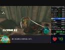 【ゼルダ ティアーズ オブ ザ キングダム】バグ無アミーボ無any%RTA(1.1.2)【1時間36分01】part4/5