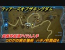 ティアキン　コログの実の場所　ハテノ村周辺４　武器枠拡張アイテム入手　＃１２０１　【ゼルダの伝説ティアーズオブザキングダム】