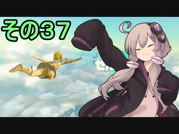 ゆかりさんと雲の王国３７【ゼルダの伝説 ティアーズ オブ ザ キングダム】
