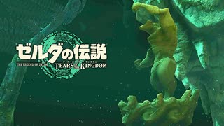 地底探索はこわい【ゼルダの伝説 ティアーズ オブ ザ キングダム / ゲーム実況】part8の後編