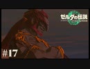【ゼルダの伝説 Tears of the Kingdom】100年に1人の男【実況】#17
