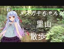 メスガキちゃんと里山散歩