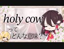 【ゆっくり解説】洋画のおスラングを霊夢お嬢様と一緒に学びましょう【使用の際は要注意】