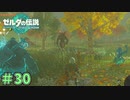 ライネルに騙されました　「ゼルダの伝説～ティアーズ・オブ・ザ・キングダム」　＃30