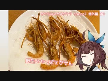 きりたんのやまあそび  season２  番外編  #１　