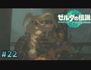 # 22 リトの村完。【ゼルダの伝説ティアーズオブザキングダム】実況プレイ