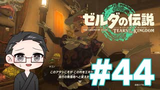 【実況プレイ】 ゼルダの伝説 ティアーズオブザキングダム part44 【いちご大福】