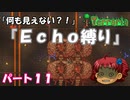 [Terraria]　『Ｅｃｈｏ縛り』パート１１　[ゆっくり実況]