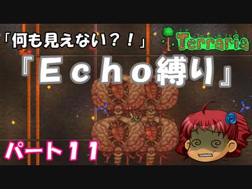 [Terraria]　『Ｅｃｈｏ縛り』パート１１　[ゆっくり実況]