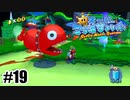 村でペット禁止にしろ【スーパーマリオサンシャイン】#19