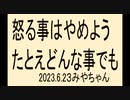 いつも同じような事いってすみません