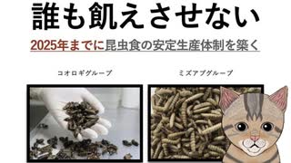 #14【食糧危機】食糧危機は2025年に来る？【備蓄系Vtuverねむき！】