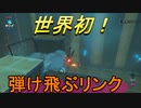 謎解きに弱すぎる男の抗い 名作謎解きゲーをIQ3がゆく[ゼルダの伝説BotW]実況プレイ15