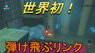 謎解きに弱すぎる男の抗い 名作謎解きゲーをIQ3がゆく[ゼルダの伝説BotW]実況プレイ15