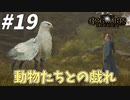 独特で個性的な動物たち！癒される～【ホグワーツ・レガシー】#19