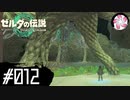 【ティアキン＃12】凡人が行く龍泪旅