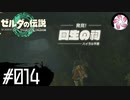 【ティアキン＃14】凡人が行く龍泪旅