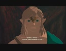 【ゼルダの伝説 TotK MOD】黒と白が逆さま！