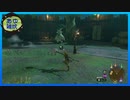 【ゼルダの伝説 ティアーズ オブ ザ キングダム】空と地底と大地と呪われし右腕。 #27【実況】