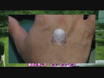 おでき備長炭