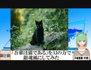【AI童話】「吾輩は猫である」をAIの力で銀魂風にしてみた(2023/06/24)