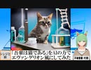 【AI童話】「吾輩は猫である」をAIの力でエヴァンゲリオン風にしてみた(2023/06/25)