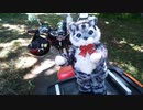 いまどき! 猫野係長