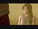 Shadow of the Tomb Raider　マックン＆パックン　08
