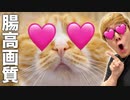 まらお&ぬぷこを腸高画質カメラで撮影してみたら涙腺擦り切れました。。。【RV-1】【REDTUBER専用カメラ】