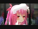 【MMD】姫熊さんで「マーシャル・マキシマイザー 」