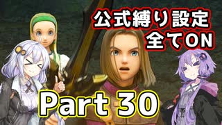 【DQ11S全縛り】縛られても過ぎ去りし過去を求めた紲星あかり #30【vs邪神ニズゼルファ】