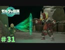 やっぱりどこか憎めない　「ゼルダの伝説～ティアーズ・オブ・ザ・キングダム」　＃31
