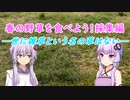 （誤削除により再掲）春の野草を食べよう！採集編　-世に雑草という名の草はない-