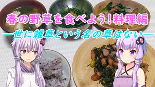 春の野草を食べよう！料理編　-世に雑草という名の草はない-