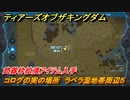 ティアキン　コログの実の場所　ラベラ湿地帯周辺５　武器枠拡張アイテム入手　＃１２２２　【ゼルダの伝説ティアーズオブザキングダム】