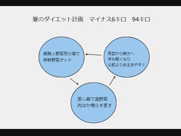 夏のダイエット計画　マイナス6キロ　94キロ　#健康チャンネル