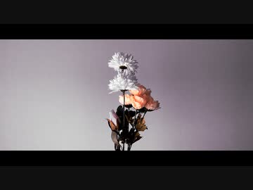 ドクガ / 初音ミク