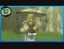 【ゼルダの伝説 ティアーズ オブ ザ キングダム】空と地底と大地と呪われし右腕。 #28【実況】