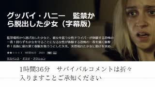 グッバイ・ハニー　監禁から脱出した少女 字幕はなかった　1時間36分