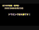 紅子の宇宙船 －音声版－ 2023年06月23日